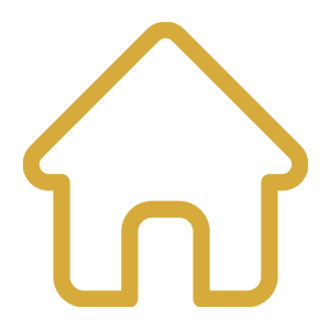 Home cleaning icon